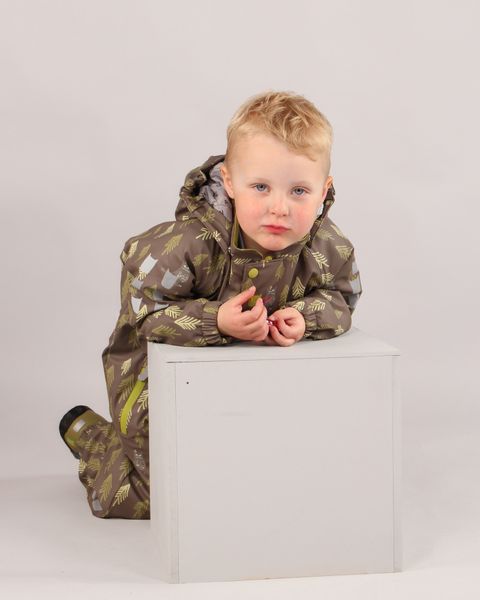 Kattnakken , Vinterregndress slaps stamme